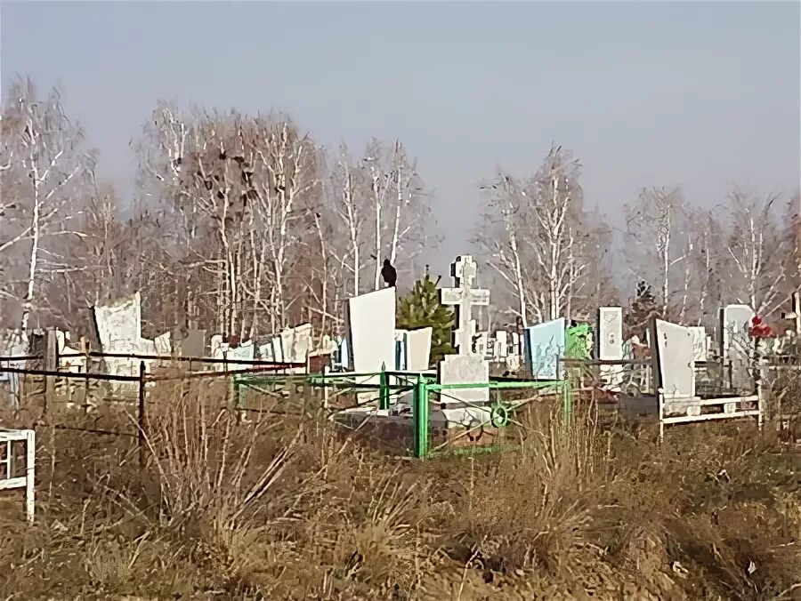 Кладбище горно-алтайск. Смоленск деревня борок кладбище. Могильник борок 2, п. Кладбище рубцовск. Рубцовское кладбище песчаный борок.