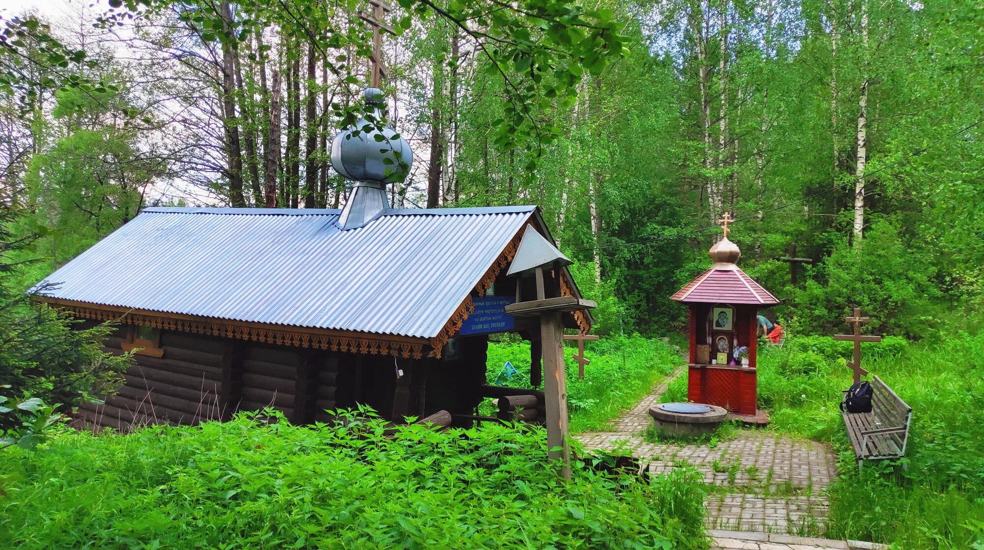 Родник в луге. Родник Таруса Святой источник. Святые источники Тамбовской области с купелью. • Печорский Святой источник Луга. Родники, Святой источник у деревни Мисцево.