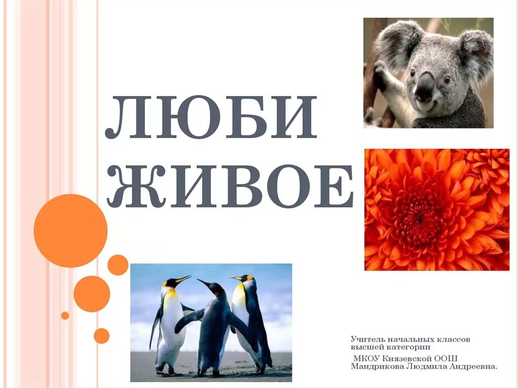 Произведение люби живое 3 класс. Люби живое. Люби живое 3 класс. Люблю все живое. Проект люблю все живое.