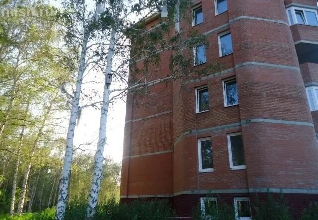 Квартиры красноярка омская область. Дома в поселке красноярка омская область. Полярная звезда база отдыха красноярка омская. Коммунальник красноярка. С.