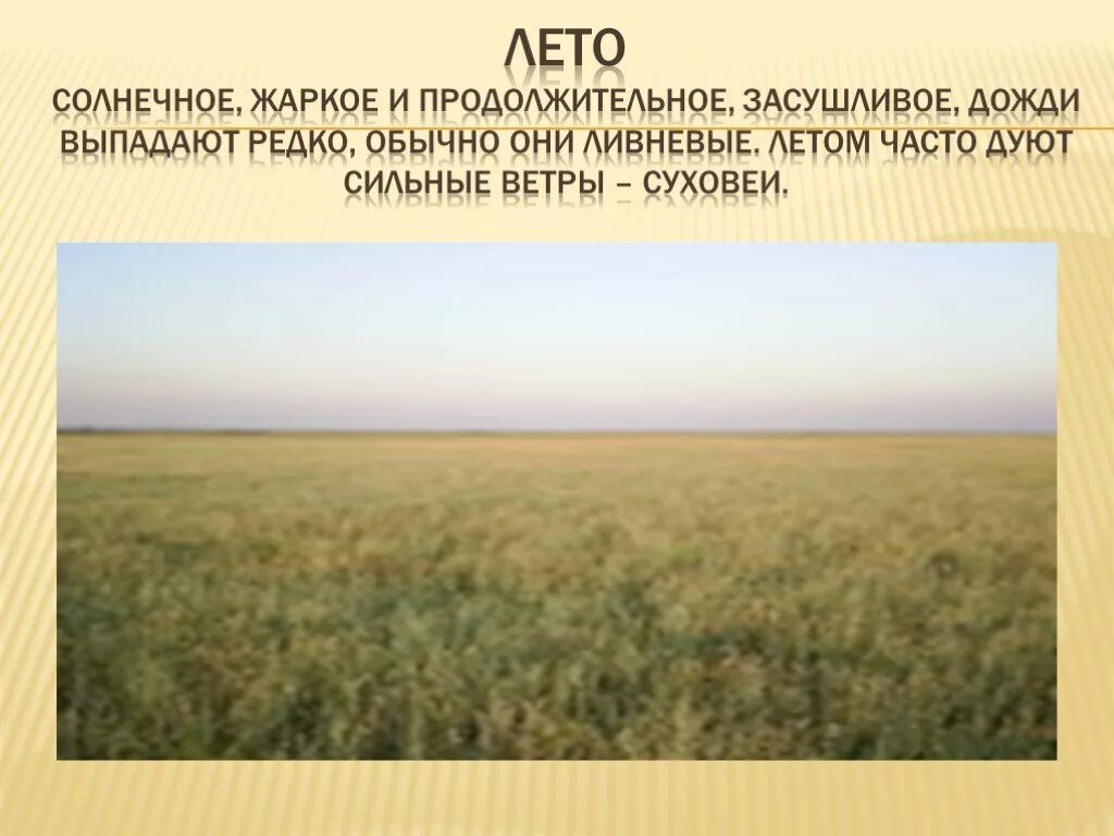 В какой природной зоне сильные ветры. Проект про степи. Степь презентация. Что такое степь 4 класс. Зона степей 4 класс окружающий.