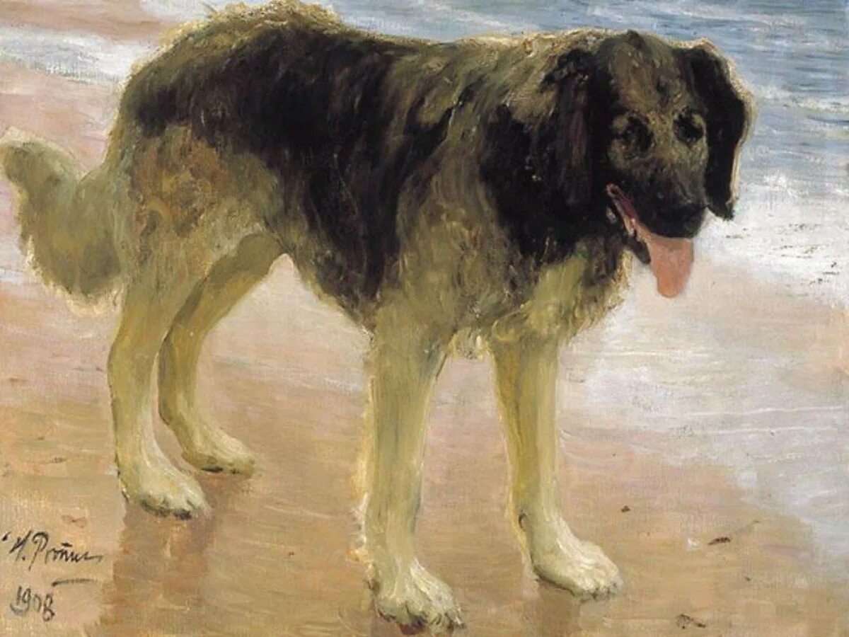 Название работы собака. Название работы собака. Собаки для детей породы название. Породы собак названия. Название работы собака.