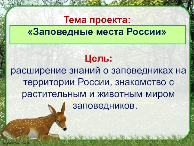 Проект заповедники россии 4 класс. Цели и задачи проекта заповедники и национальные парки России. Цель проекта заповедники России. Цели и задачи проекта заповедники России. Цель проекта заповедники и национальные парки России.