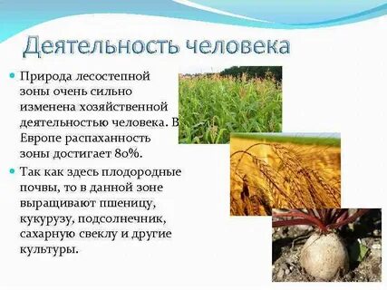Хозяйство в жизни человека