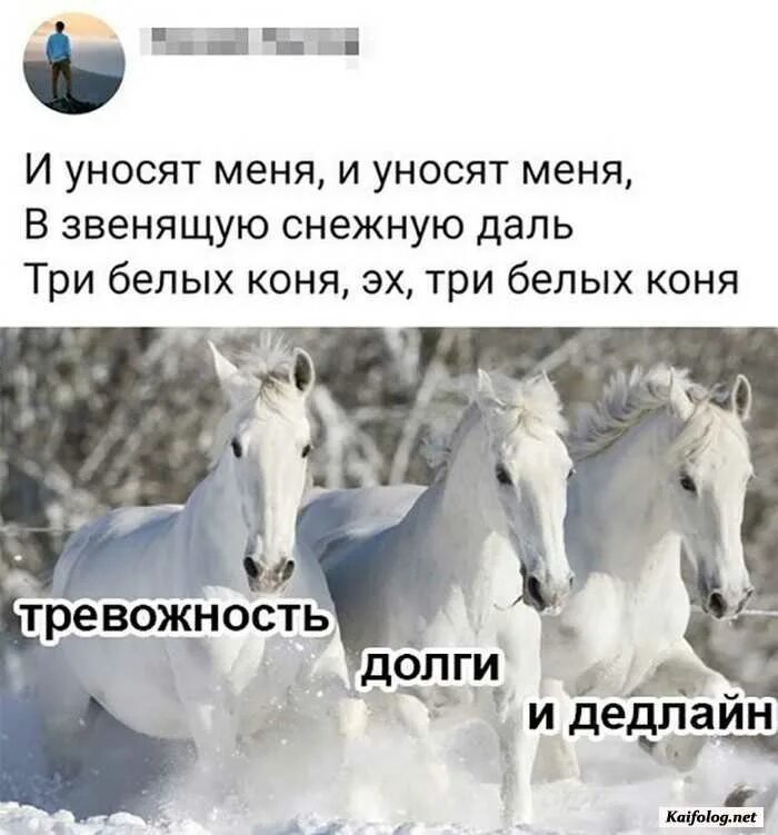 И уносит меня. И уносят меня три белых коня. Три белых коня прикол. Мем про 3 белых коня. Слова песен три коня