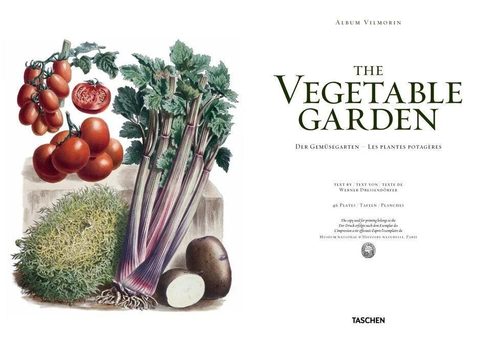 Vilmorin. Овощи на огороде. The Vegetable Garden картина. Вильморен селекция. Vegetables book