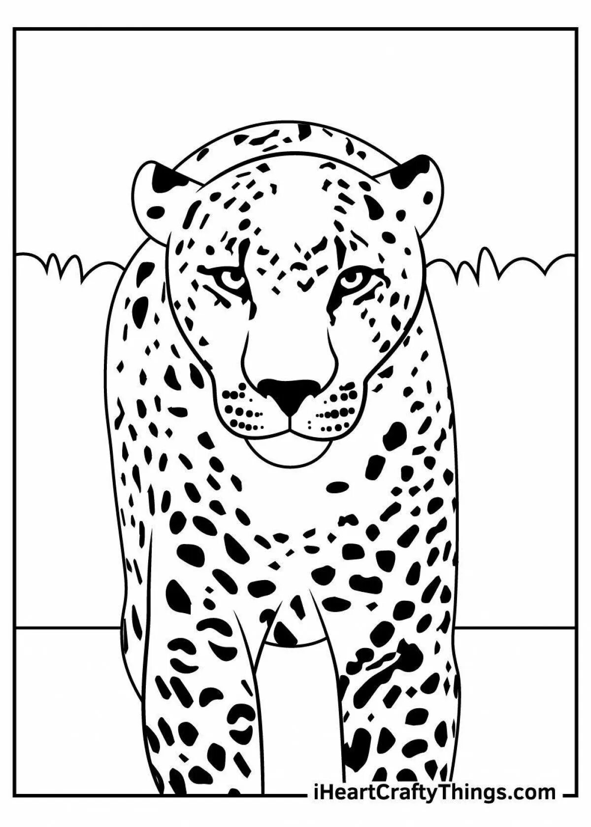 Free & Easy To Print Cheetah Coloring Pages in 2022 Zoo animal coloring pages, C