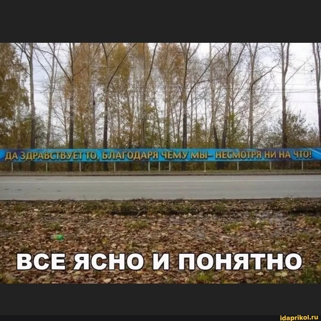 Статусы про машу и медведя. В отличии как писать. Хочу как маша. Правописание предлога несмотря на. Есть категория людей которые.