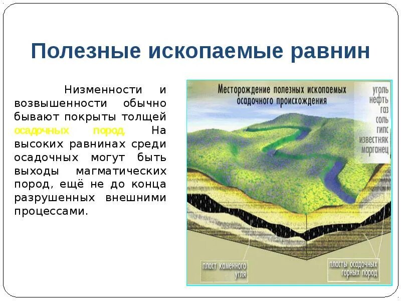 Какое полезное ископаемое залегает. Полезные ископаемые равнин. Равнины попоисхождению. Осадочные полезные ископаемые. Равнины низменности возвышенности.