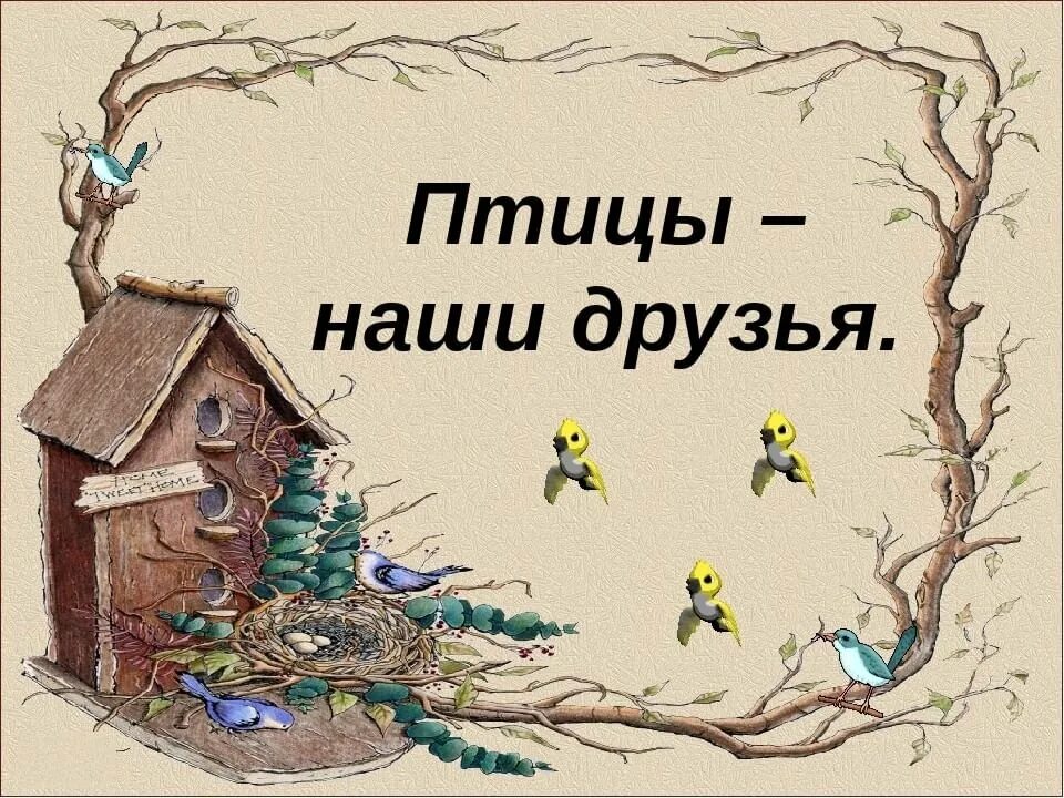 Птицы наши друзья. Птицы наши друзья презентация. Проект птицы наши друзья. Птицы наши друзья классный час. Презентация день птиц 2 класс