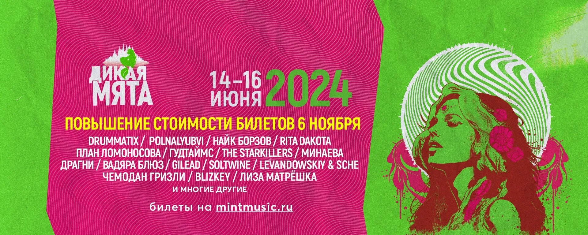 Дикая мята 2024 фото Дикая мята 2024 фото