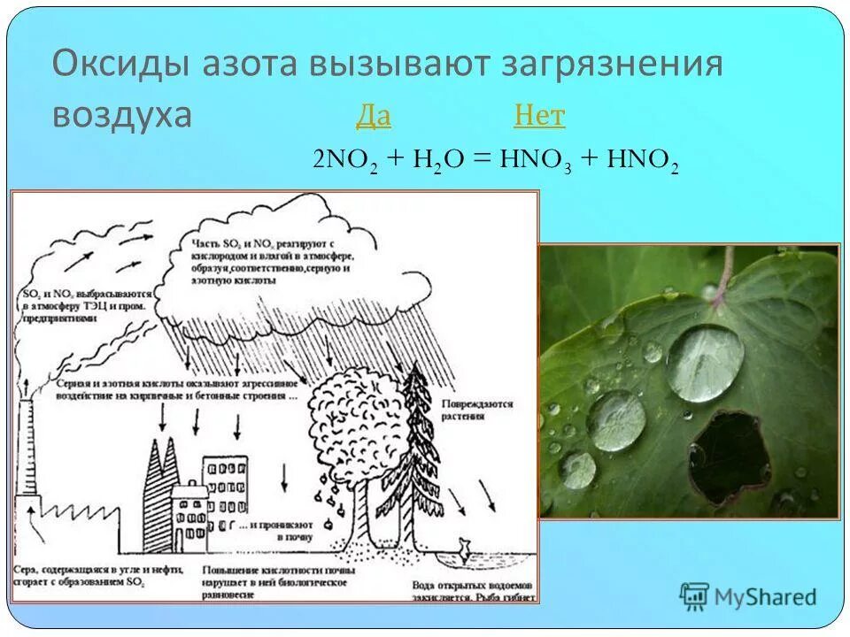 Оксид серы влияние на человека. Влияние диоксида серы на окружающую среду. Оксид азота воздействие. Загрязнение оксидом азота. Проект на тему кислотные дожди эксперимент.