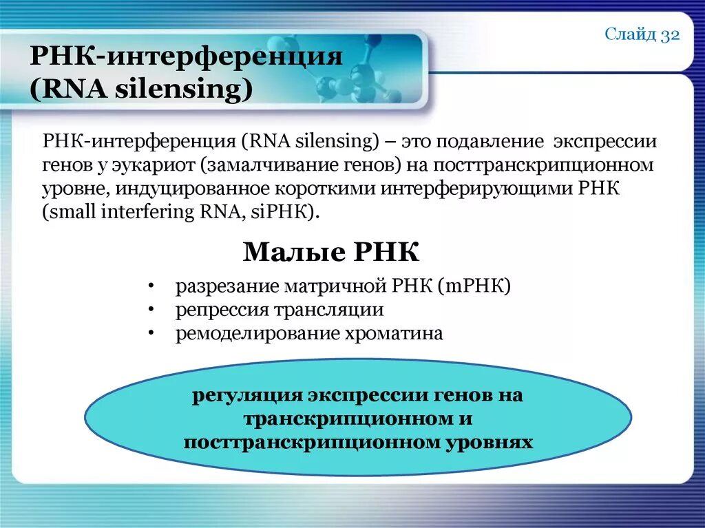 РНК интерференция. Малая интерферирующая РНК. РНК интерференция функции. Малая интерферирующая РНК функция.