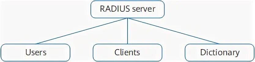 Server users