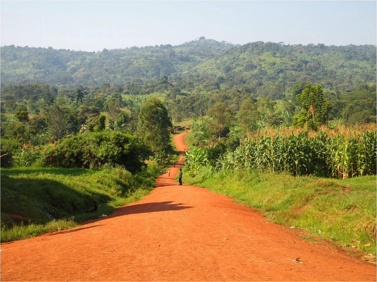 руанда страна. восточная африка уганда. кампала столица уганды. острова сесе уганда. страна уганда кампала.