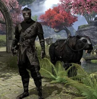 Elder 19