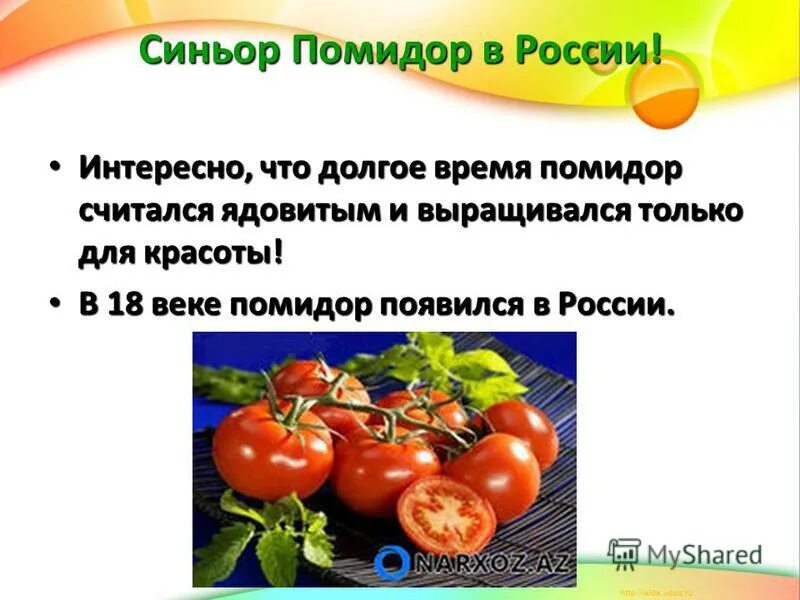 франческо чирилло метод помидора. презентация на тему томаты. помидоро техника тайм менеджмента. франческо чирилло метод помидора. принцип помидора.