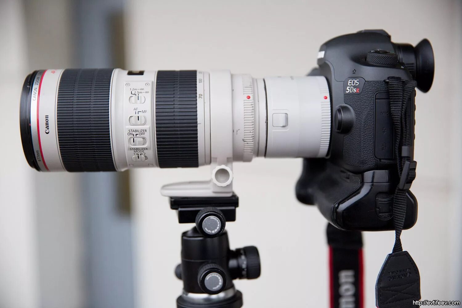 L is usm. Canon 70-200 2.8 II. Объектив 70-200 2.8 III Canon. Canon 70-200. Canon EF 70-200 F/2.8 L USM