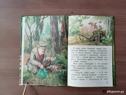 В лесу стоял старый