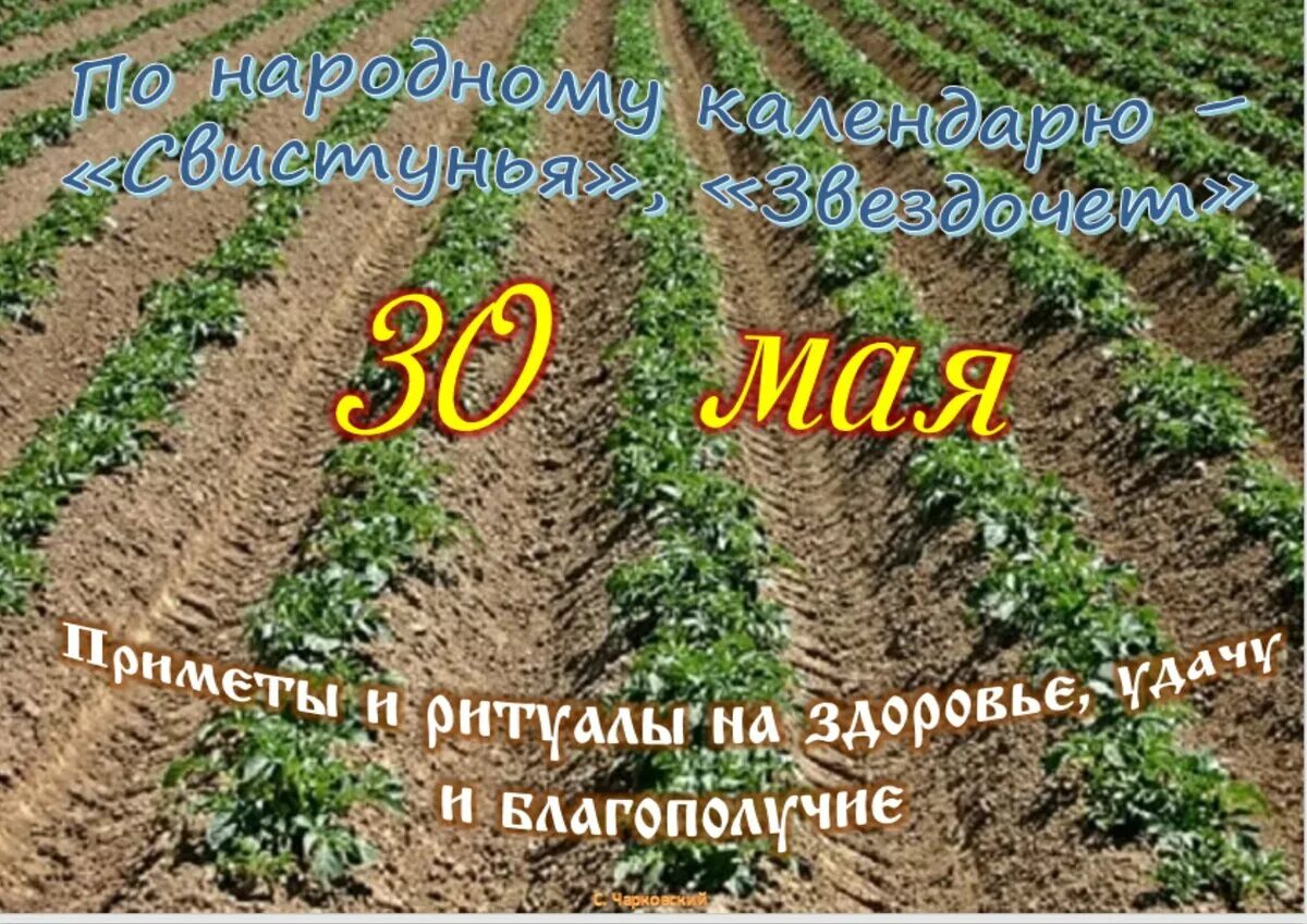 Какой сегодня праздник 30.03. 30 Мая народный календарь. 30 Мая праздник. 30 Мая праздник приметы. 30 Дней в мае.