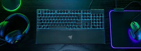 Ornata v3