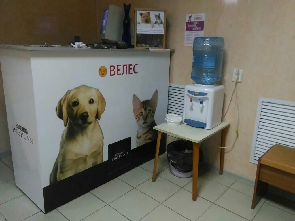 велес астрахань ветеринарная. велес псков ветклиника. клиника велес астрахань сайт. велес астрахань ветеринарная. ночная ветеринарка астрахань.