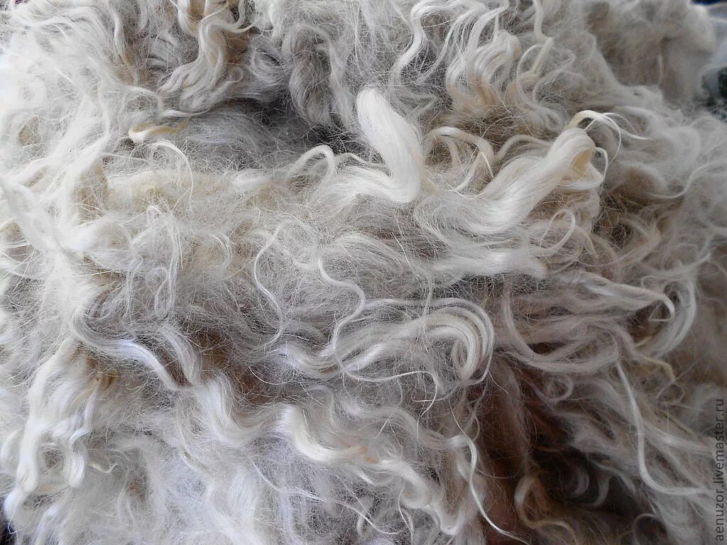 Шерсть и пух. Козий пух 20239. Шерсть пух. Козий пух нечесаный. Прядение шерсти.