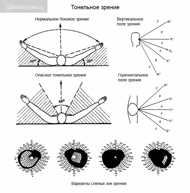 Туннельное зрение. Периферическое зрение. Боковое зрение. Что такое периферическое зрение у человека. Почему при боковом зрении хорошо видна