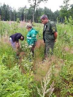 Егорьевское лесничество