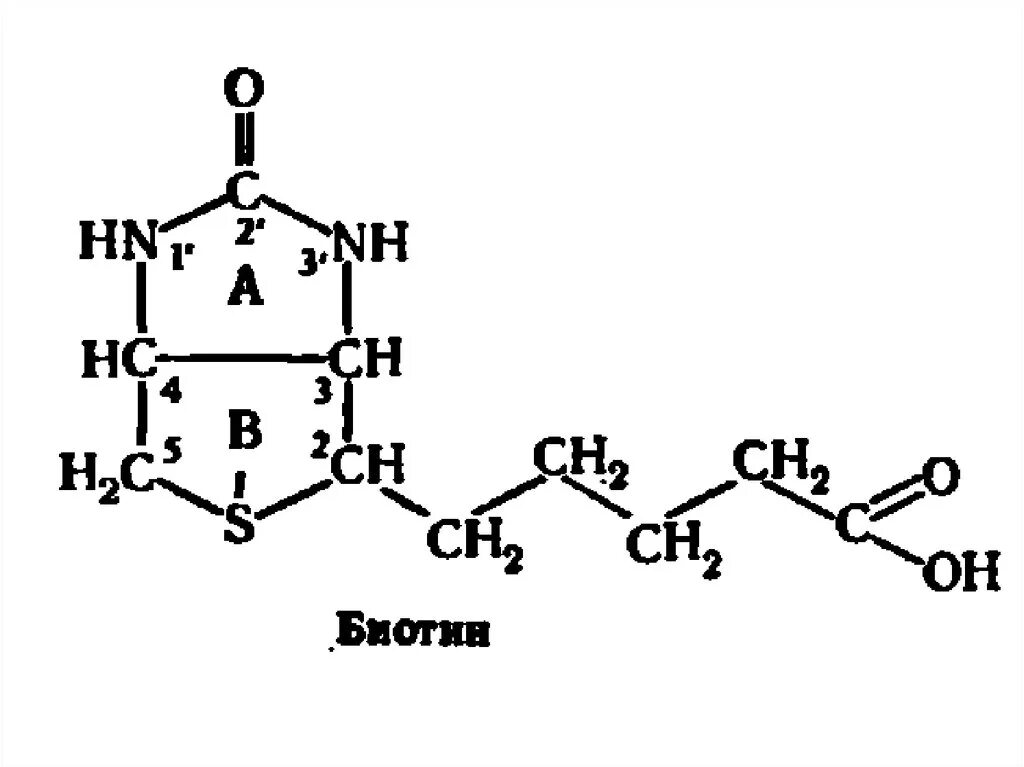Витамин н что это. Витамин в7 биотин. Витамин н биотин. Хим структура биотина. Биотин хим строение.