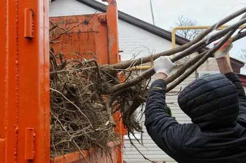 Городское хозяйство краснодар