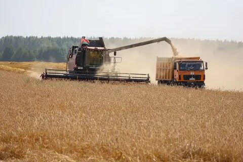 Уборка урожая в сентябре