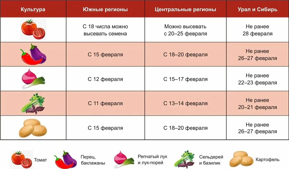 Сроки высадки помидоров. Календарь посева рассады. Таблица посадки семян на рассаду в 2023 году. Таблица посева рассады на 2023 год. График посадки овощей.