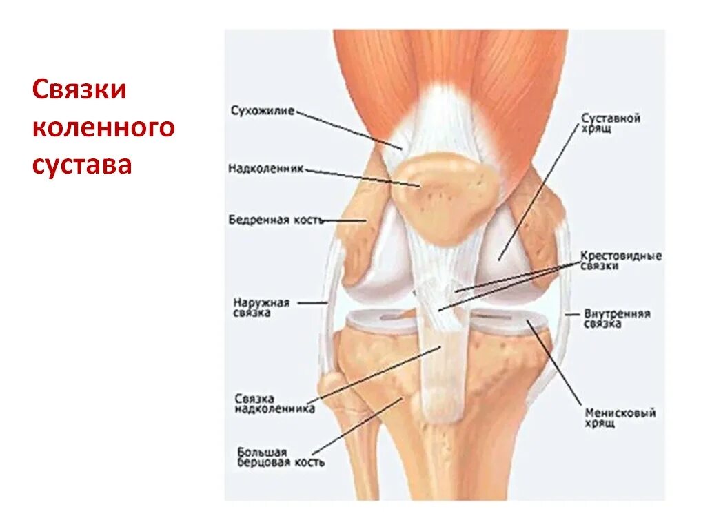 Будет виден на внутренних