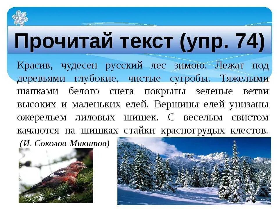 Описание зимы. Сочинение зимний лес. Сочинение на тему зимнего леса. Сочинение текст описание зимой в лесу. Текст про зимний