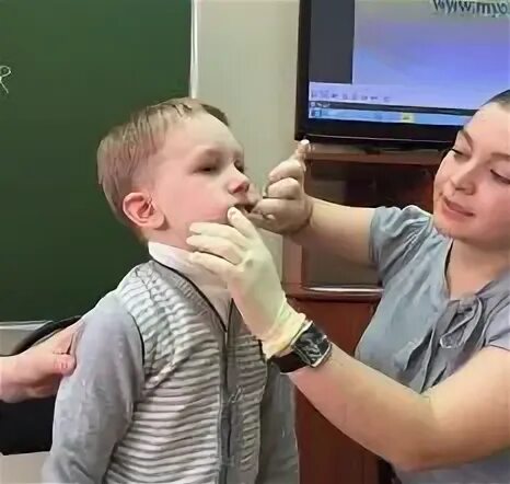 Миофункциональный логопед