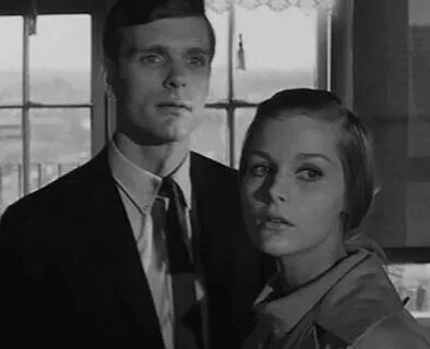 Bunny lake a disparu 1965 kbps remix