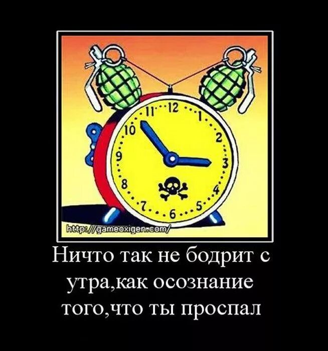 Через час будет поздно. Демотиватор. Ничего так не бодрит с утра. Ничто так не бодрит с утра как фраза. Демотиватор проспал.