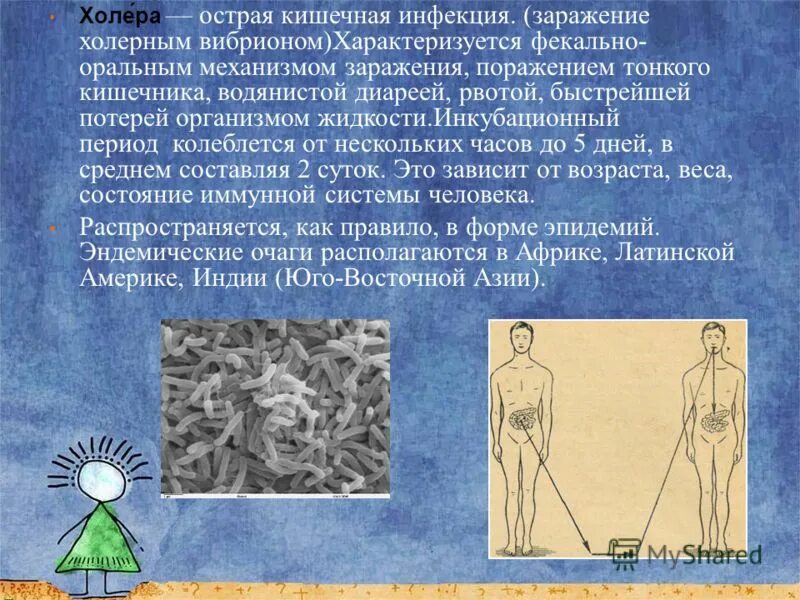 холера распространение в мире. холера распространение в мире. распространенность холеры в мире карта. распространенность холеры в мире карта. холера возбудитель симптомы профилактика.