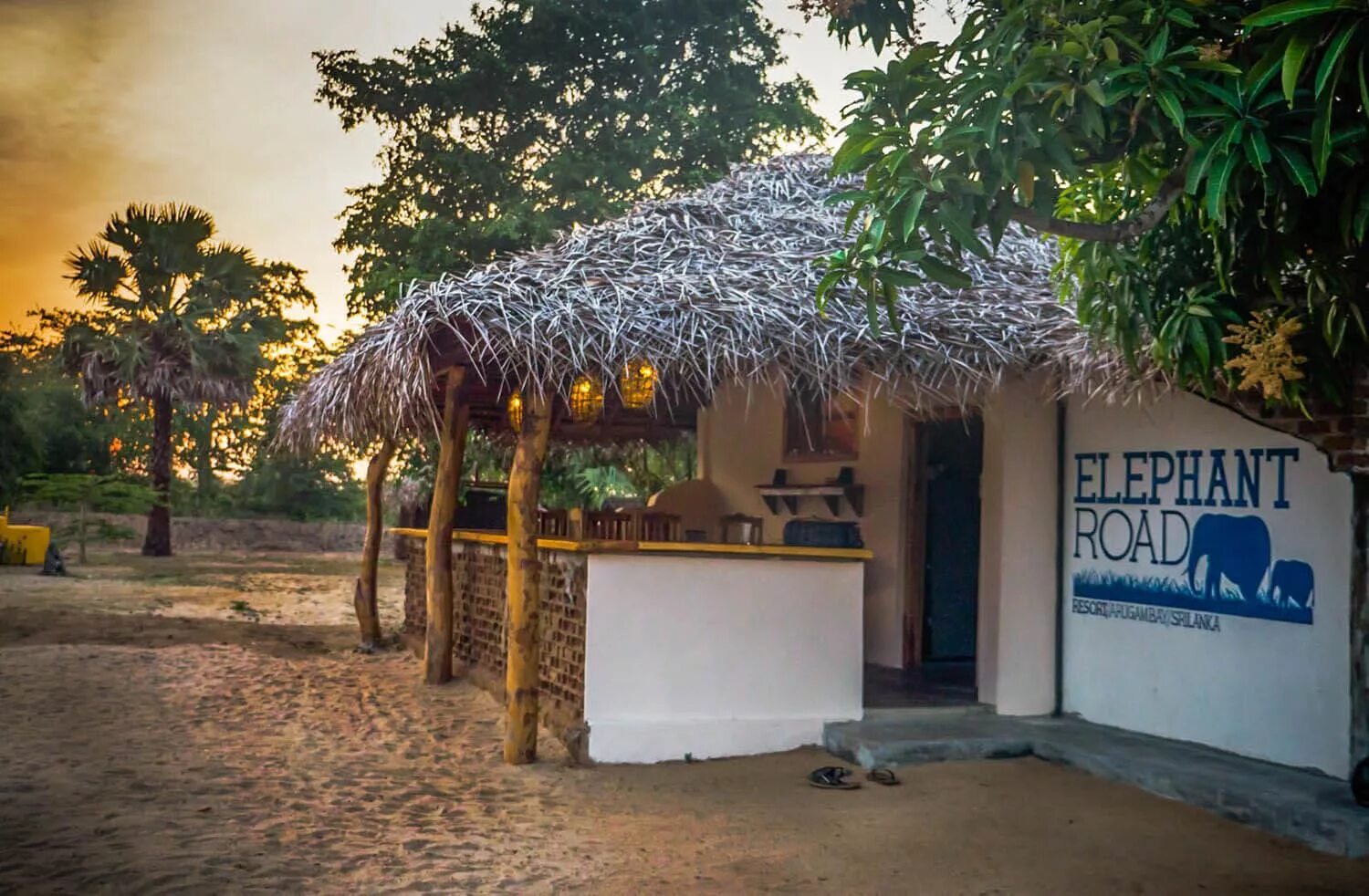 Hotel elephant bay шри ланка. Слоновий питомник шри ланка пиннавела. Чангу. Hotel elephant bay шри ланка. Кабалана бич шри ланка.