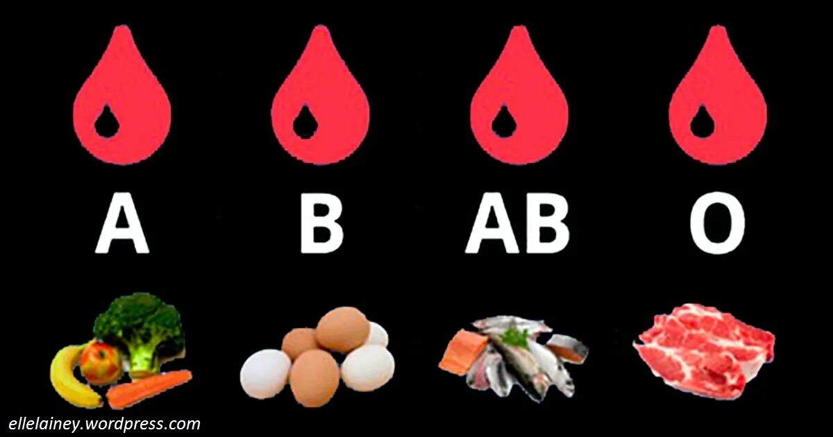 Похудение группе крови 3. Группа крови и питание. Диета по группе крови. Питание по группе крови таблица. Питание по второй группе крови.