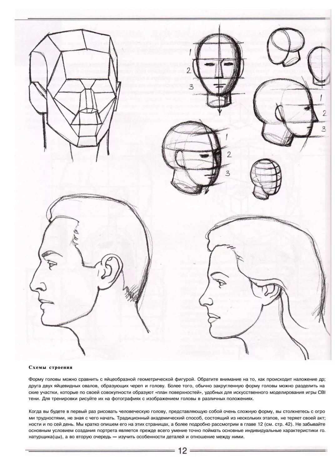 Шаблоны головы для парикмахеров. Схема головы. Схема голов. Схема головы для стрижки. Макет головы для парикмахера.