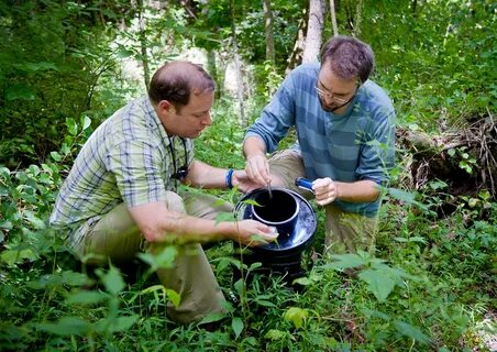 Science of the total environment