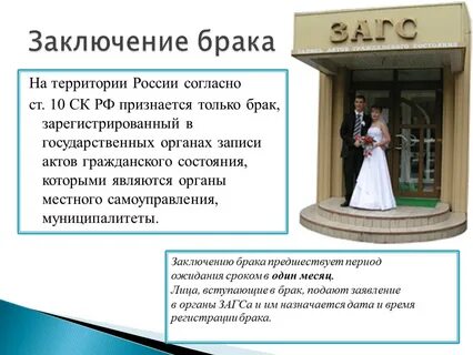 Загс проверить запись