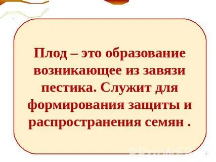 Оплодотворение образование плодов