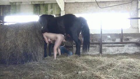 Slideshow sexwithhorse net 