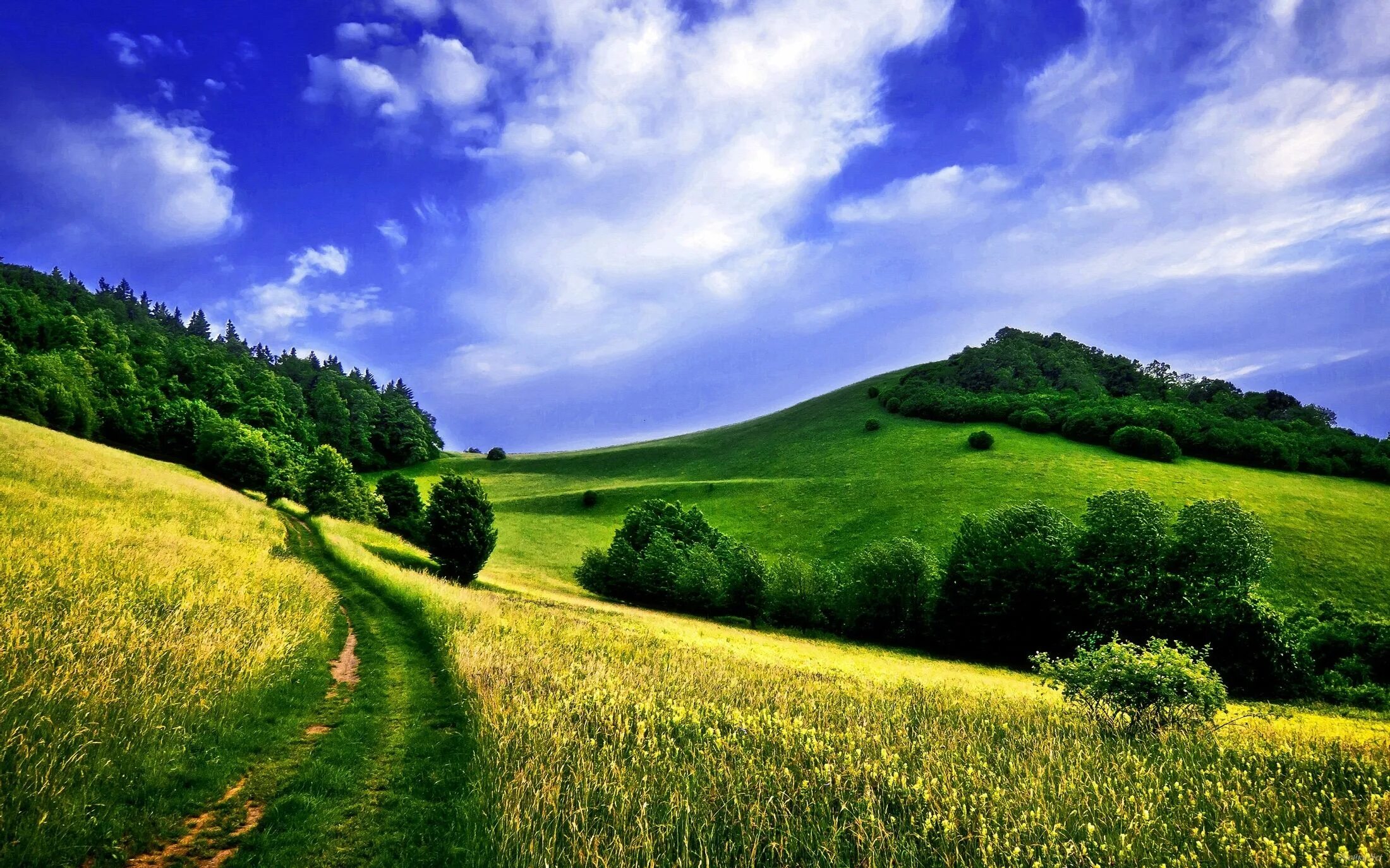 Desktop picture