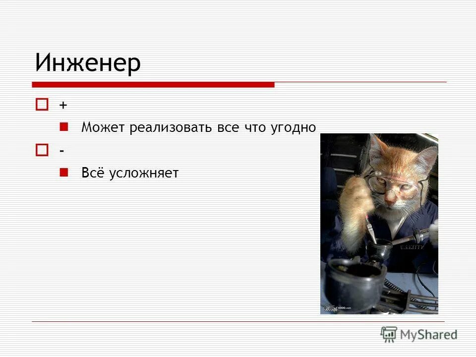 Можно давать коту курицу. Можно давать коту курицу. Можно давать коту курицу. Кормящая кошка. Можно давать коту курицу.