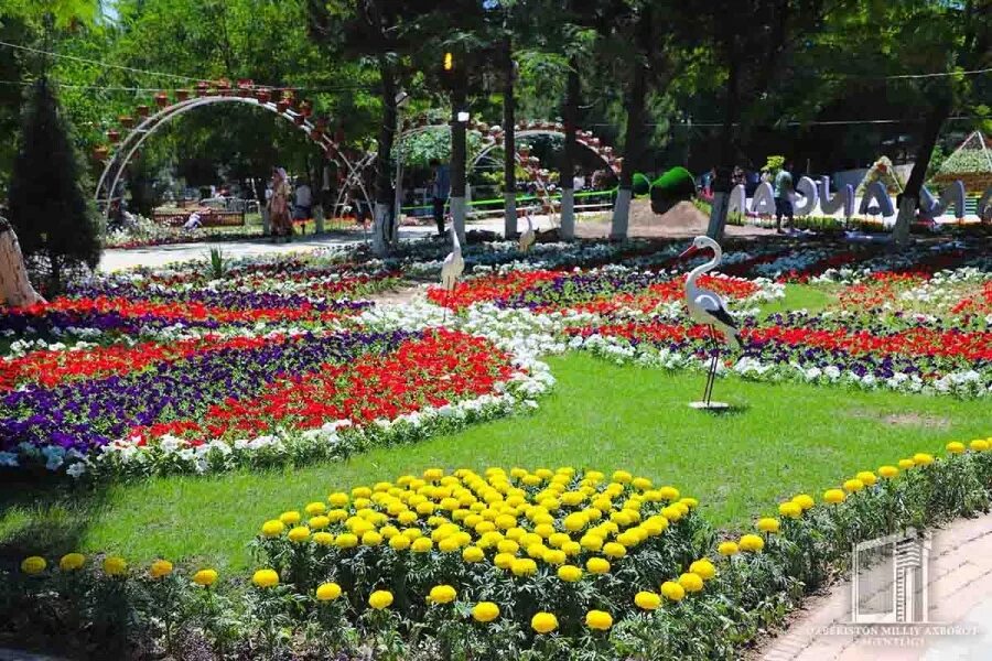 Табиат гуллари. Цветочная арка. Фестиваль цветов в ташкенте. Узбекистан гуллар. Гул сада гул сада.