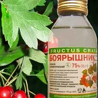 Что делают с боярышником ягодами